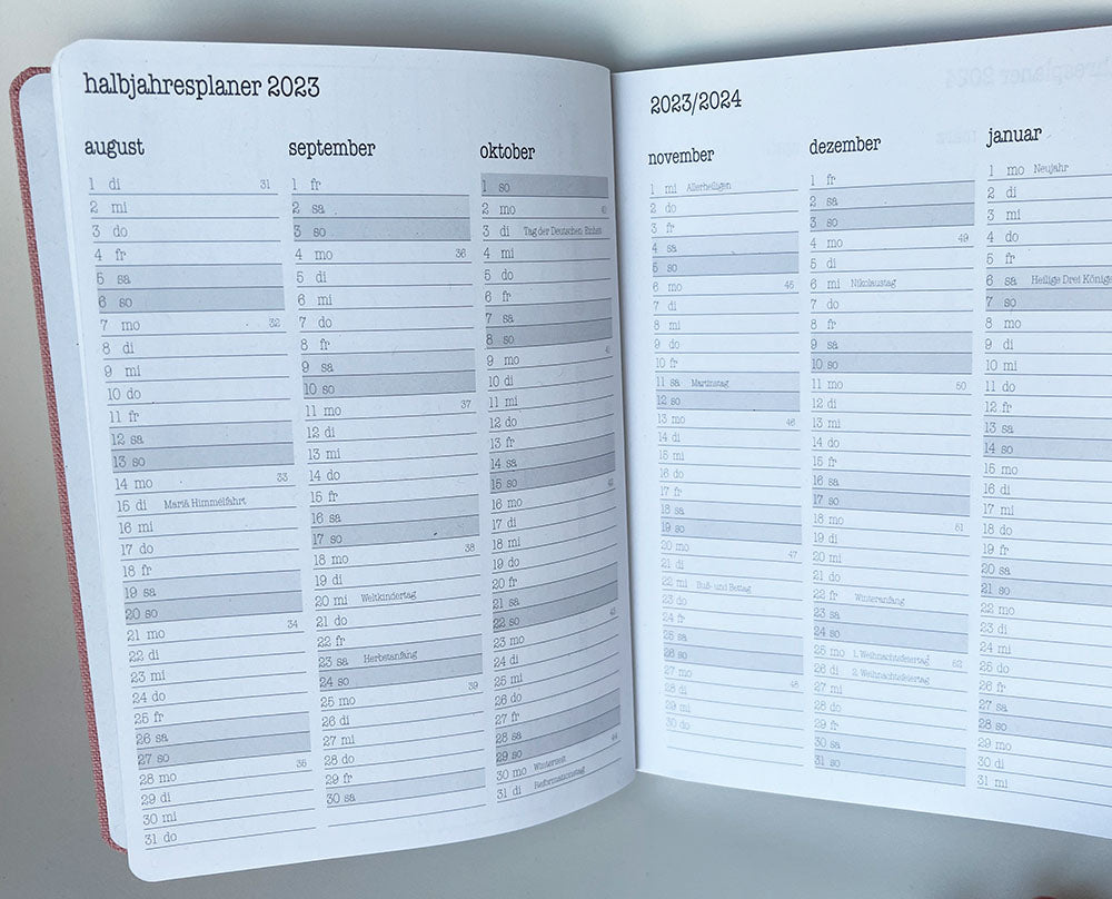 Lehrerkalender Sonderedition SALBEI/BEERE A5+ 2023/24